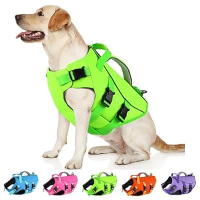 [Dogcheer] Dogcheer Dog Life Jacket with Double Rescue Handle, Reflective Dog Life Vest for Swimming Boating, Adjustable Pet Swim Vest Dog Flotation Device DFD for Small Medium Large Dogs - Green M