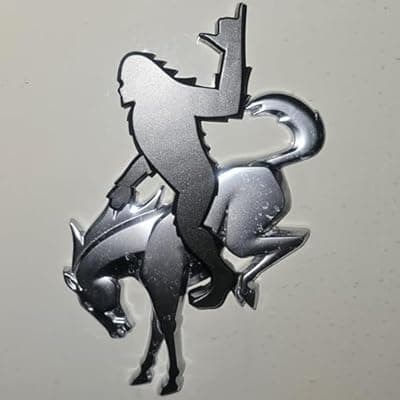 [Generic] Add-A-Saquatch to Your Bronco,3D Tailgate Emblem Overlay for SUV - Universal Fit 3"x4" Raised Design, Black Automotive Decor with Tape (Riding Horse Set - A, Black)