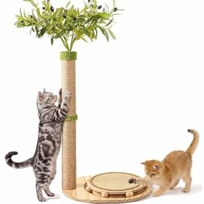 [Catails] Catails 39" Tall Cat Scratching Post, Cute Olive Cat Scratcher, Interactive Cat Toys with Ball Track & Spring Ball, Sturdy Cat Scratch Post with Pad for Indoor Cats Adults and Kittens