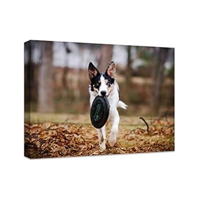 [Anjiefo] Personalized Photo to Canvas Print - Canvas Prints With Your Photos on Custom Wall Art for Bedroom, Living Room, Wedding Baby Pet Family Picture Framed Wall Art (10" W x 8" H)