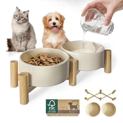 [homish] Elevated Dog Bowl & Cat Dish 27oz – Raised Ceramic Pet Food and Water Bowls with Bamboo Stand, Feeding Station for Small & Medium Pets, Prevents Neck Strain – Durable, Premium Quality by Homish