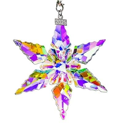 [JUNQIU US] 2025 Annual Edition Ornament, Crystal Snowflake Ornaments for Christmas Tree, Colorful Star Ornaments, Beautiful Unique Christmas Ornament Gift