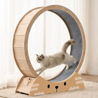 [RRPETHOME] RRPETHOME 48" Cat Wheels for Indoor Cats, Quiet & Stable Cat Exercise Running Wheel, Cats Treadmill with Anti-Slip Mat