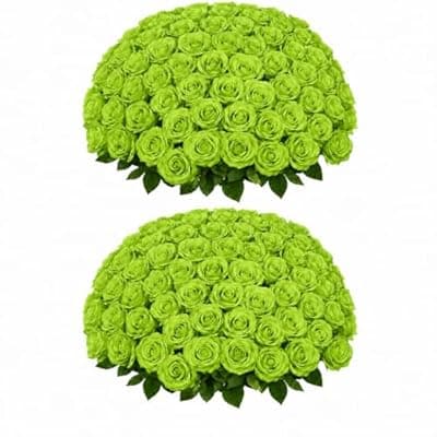 [LetuoClips] 50 PCS Green Roses Artificial Flowers,Fake Green Roses Bouquet,Greens Artificial Silk Rose with Stems for DIY Wedding Flowers Decoration, Valentines Day, Bridal Bouquet Rose,Wedding Decoration