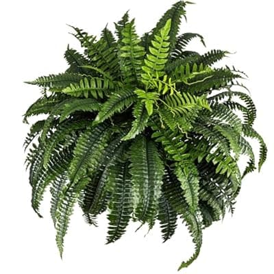 [NeosCA] NeosCA Giant Artificial Boston Ferns for Outdoors Large UV Resistant Lifelike Faux Fern, Realistic Silk Greenery Plants Large for Patio, Office, Home Decor, 88 Branches, 48 in Fake Fern Natural Green