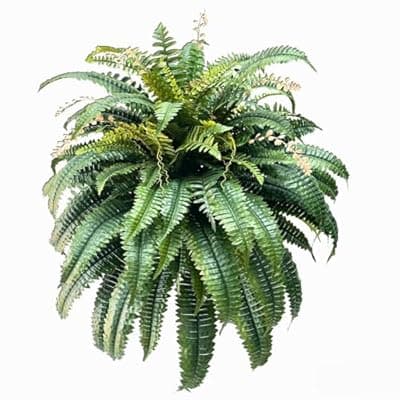 [NeosCA] NeosCA Giant Artificial Boston Ferns for Outdoors Large,Uv Resistant Lifelike Artificial Plants Large,Faux Fern Silk Ferns That Look Real,Fake Fern for Outside Lifelike 128 Branches