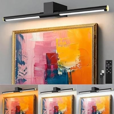 [GMINCO] Picture Lights for Wall Battery Operated, Rechargeable Wireless Lights for Pictures on Wall with 3 Color Dimmable Remote for Painting Gallery Dartboard Poster Bedroom Frame Art Decor - Black 24 inch