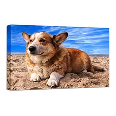 [Anjiefo] Anjiefo Custom Canvas Prints with Your Photo, Personalized Canvas Wall Art, Print Your Pictures Photos on Canvas, Gifts for Family, Wedding, Friends,Home Decoration (8" L x 12" W)