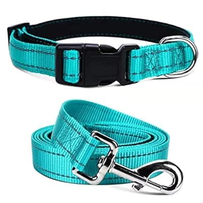 [Jumpress] Jumpress Soft Neoprene Padded Dog Collar and Leash Set for Small Medium Large Dogs, Reflective Durable Nylon Dog Collar with 5ft Leash Easy for Walking, Teal,Neck fit 12.5-19.5’’