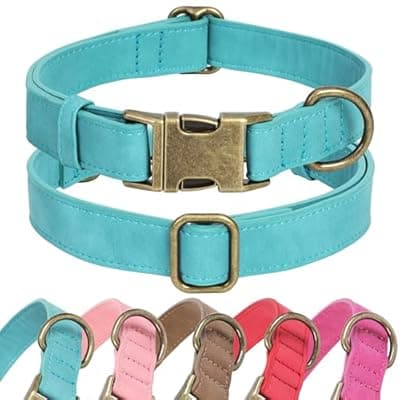 [Jumpress] Jumpress Soft Leather Dog Collar for Small Medium Large Dogs, Heavy Duty Dog Collar Leather with Quick Release Metal Buckle, Durable & Adjustable for Small Dogs Walking (Teal Blue, S)