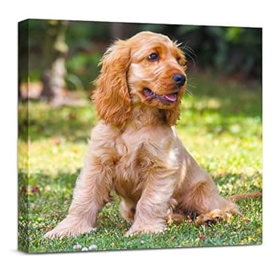 [Anjiefo] Anjiefo Custom Canvas Prints with Your Photo, Personalized Canvas Wall Art, Print Your Pictures Photos on Canvas, Gifts for Family, Wedding, Friends,Home Decoration (8" L x 8" W)