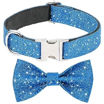 [Jumpress] Jumpress Blue Boy Dog Collar with Bow, Bling Male Bowtie Dog Collar for Puppy Small Medium Dogs, Cute Dog Collar for Daily Walking or Holiday Party (Neck fit 11-16’’)